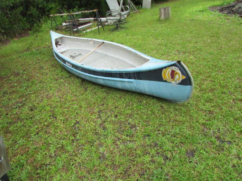 Custom Original Electric Fiberglass Dolphin Princess Canoe 