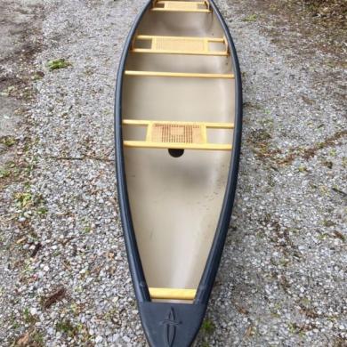 Dagger Reflection 15 Canoe, Excellent Condition, Paddles, Seats