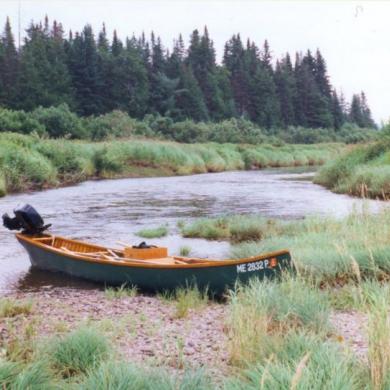 Chestnut Ogilvy Special Wood Canvas Canoe, 20 Ft, 1970, Original Owner ...