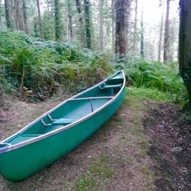 Coleman Ram X 15 Canadian Canoe 15 Foot For Sale From United Kingdom   55709 46998 