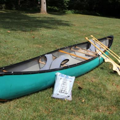 Dagger Reflection 15 Canoe for sale from United States